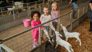 longdown dairy farm tickets