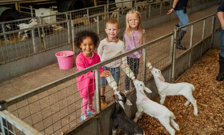 longdown dairy farm tickets